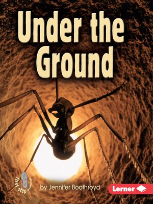 cover image of Under the Ground